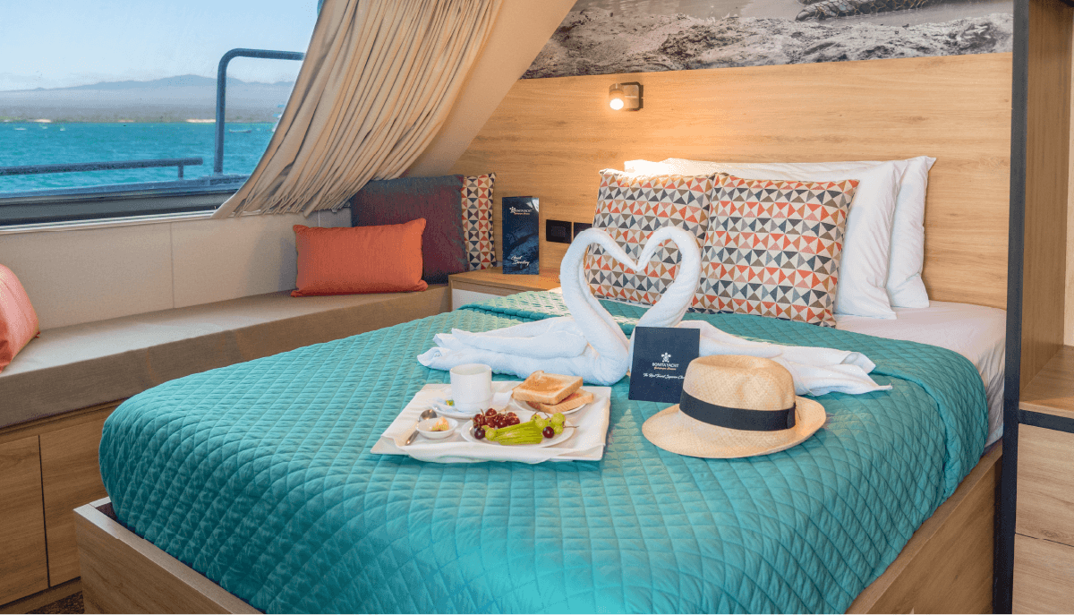 Bonita Yacht - Imagen 3