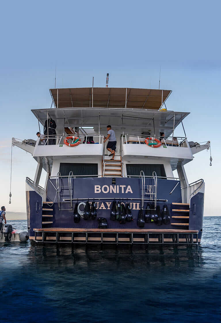 Bonita Yacht - Imagen 6